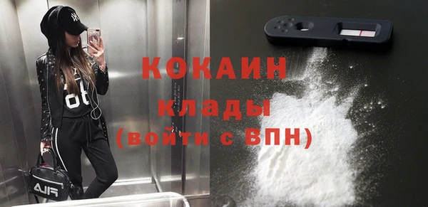 мяу мяу кристалл Няндома
